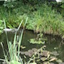 Stacks Image 455309