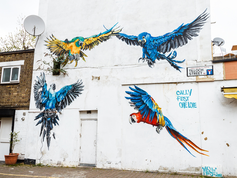 Parrot mural in Tilloch Street, off Caledonian Road