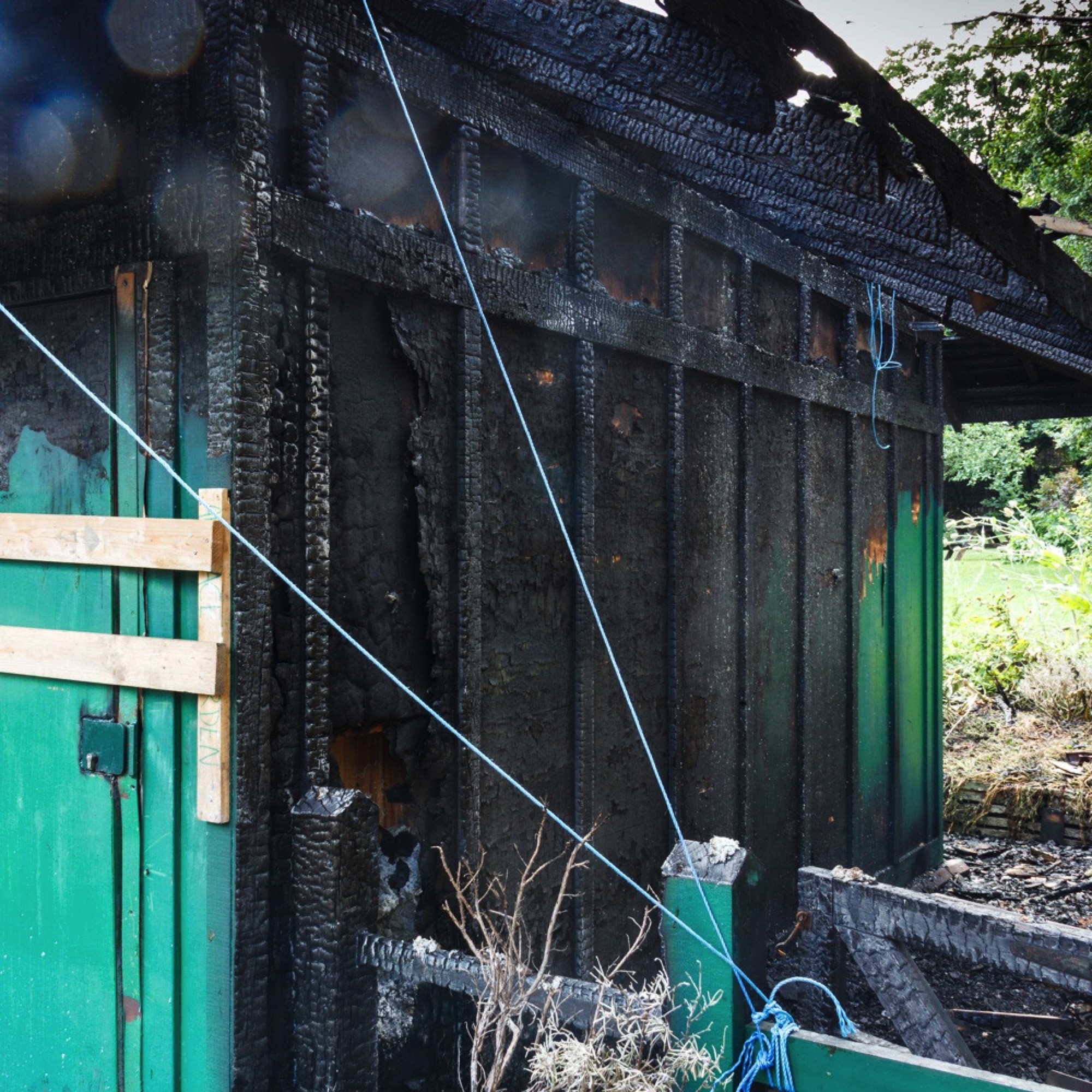 A short description about the picture goes here