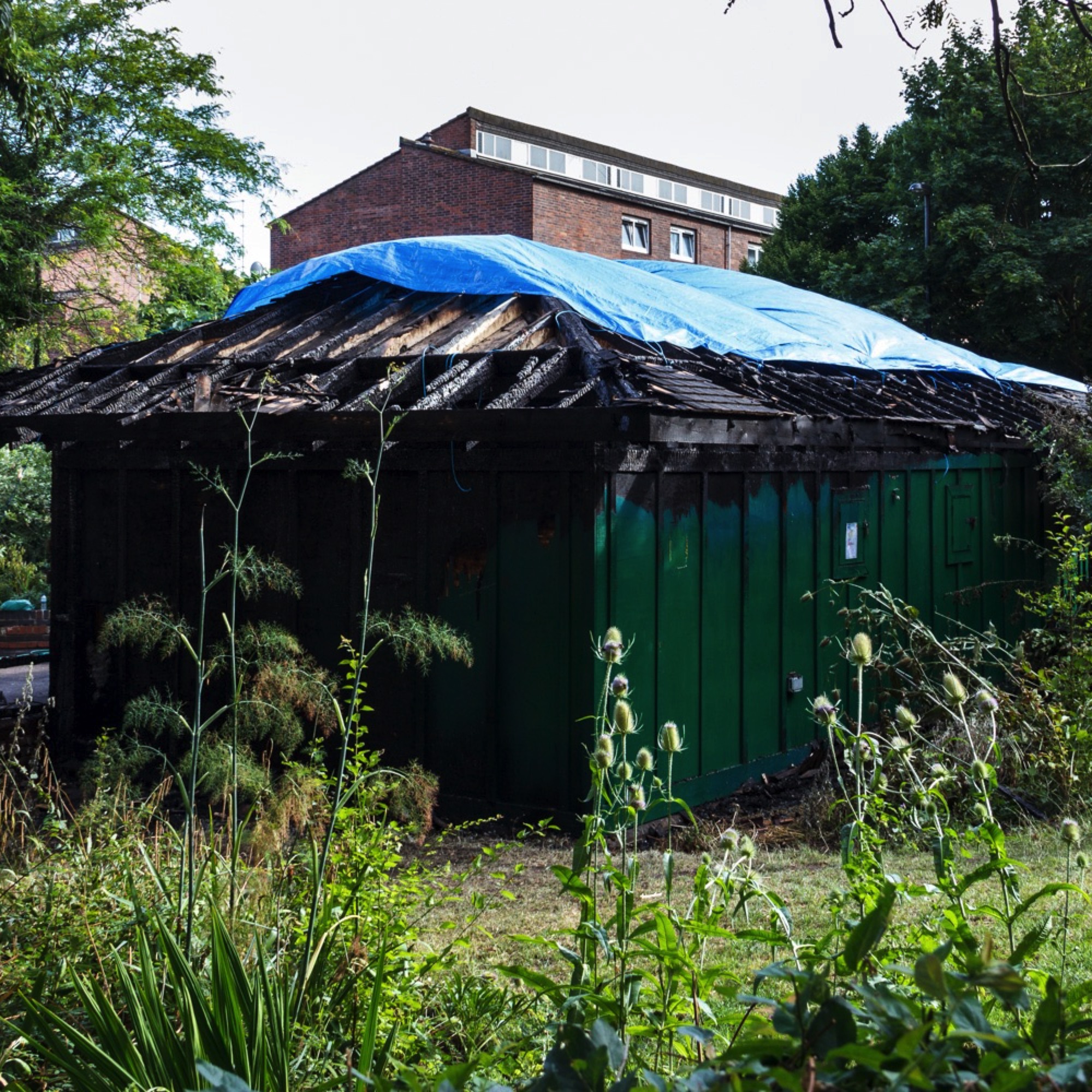 A short description about the picture goes here